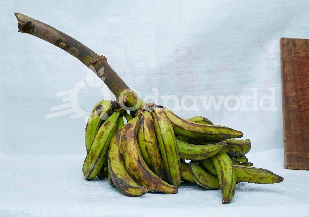 Plantain – per bunch (Medium)
